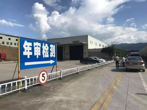 汽车脱审交多少罚款