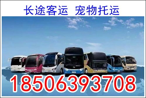 太和到合肥汽车多少钱