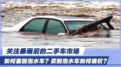 河南汽车泡水多少