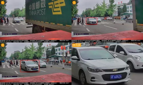 金城到阆中汽车多少钱