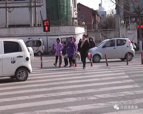 汽车贴花贴多少不违法