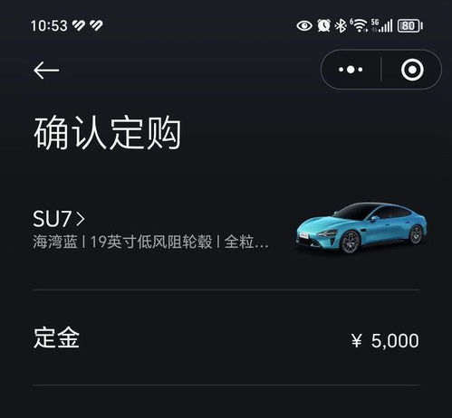 汽车定金能用多少