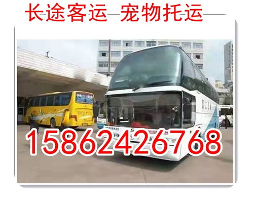 西安到汉中汽车多少钱