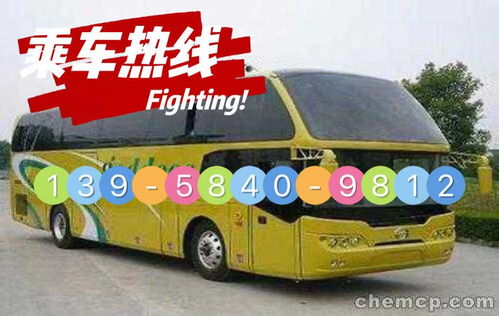 南九到温州汽车多少钱