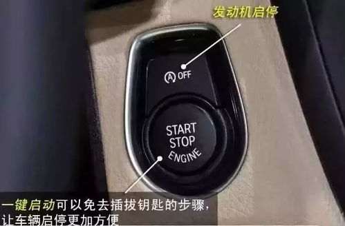 汽车圆形按钮直径多少