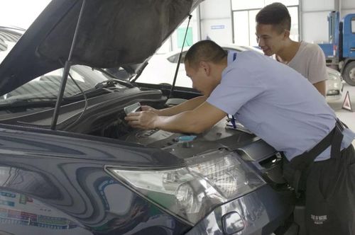 6座汽车年检费用多少