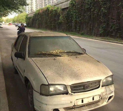 奇瑞汽车报废补偿多少