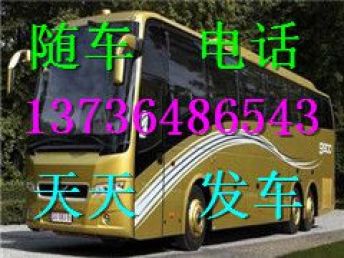 武冈到深圳汽车票多少