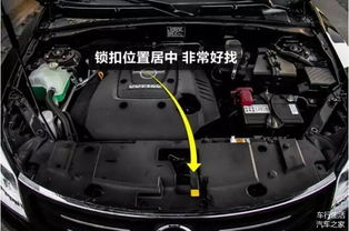 汽车前盖能用多少年更换