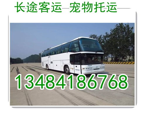 永康到鹤壁汽车多少钱