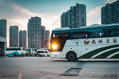泸沽汽车站面积多少