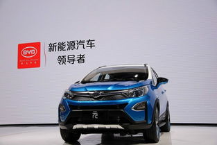上海有多少台比亚迪汽车