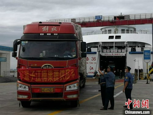 海口汽车轮渡多少钱