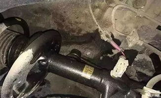 汽车减震器底部加高多少