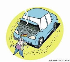汽车夫妻过户占标的多少