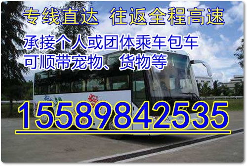诸城汽车无线网多少钱