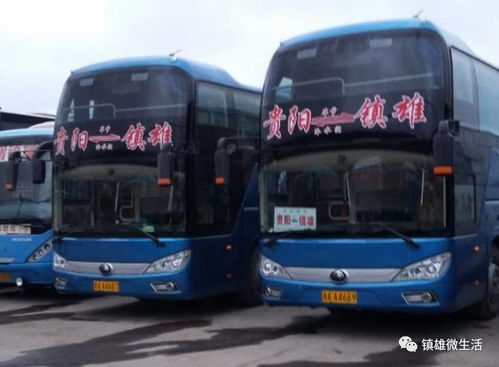 贵阳到贵定汽车多少钱