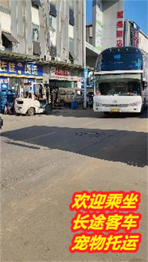 肥东到南京汽车多少钱