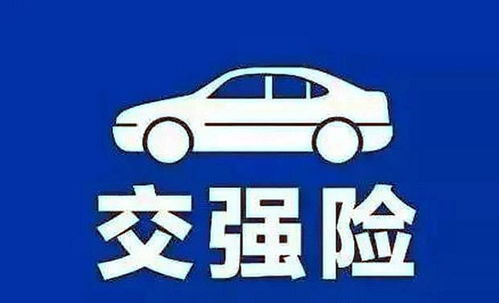 交汽车强险多少钱