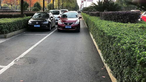 汽车停放多少天合适