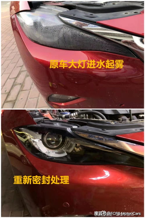 遥控汽车装灯泡多少钱