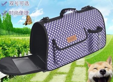 汽车托运狗狗多少钱