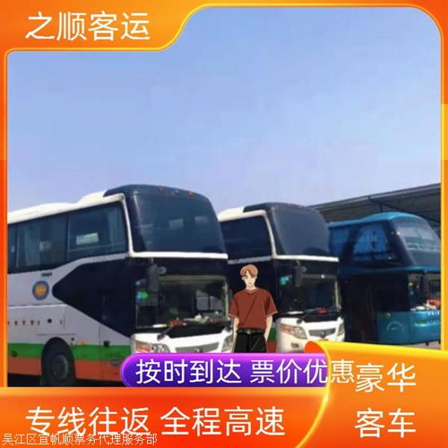 马山到方城汽车多少钱