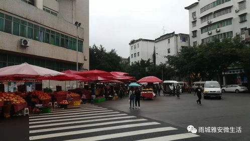 雨城区有多少汽车城