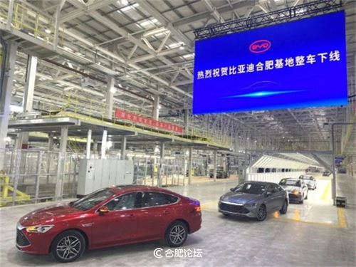 绍兴至合肥汽车多少钱