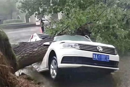 郑州大雨汽车补贴多少