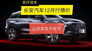 新买汽车挂牌多少钱