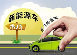 电动汽车购置税多少