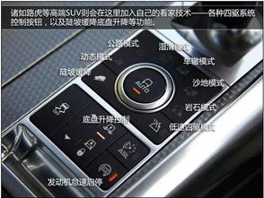 汽车按钮使用率最低多少