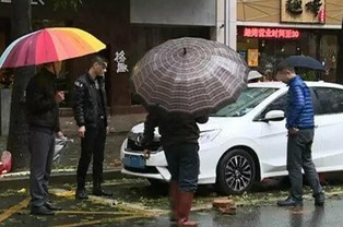 汽车撞死狗赔多少钱合适