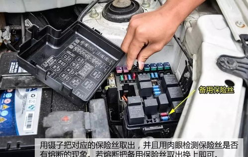 东莞汽车保险丝尺寸多少