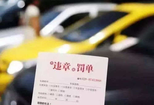 共享汽车罚单是多少分
