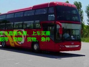 开封到广州汽车多少钱