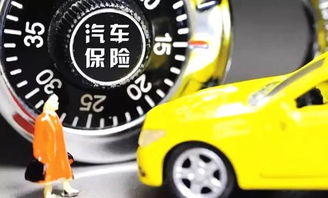 汽车干忧器多少钱