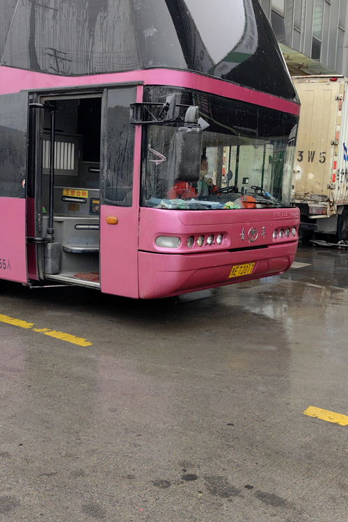 汽车泰兴到深圳多少钱