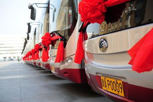 全天津市有多少辆汽车