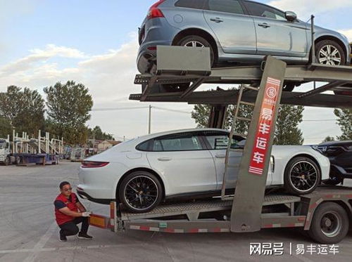 宠物汽车托运运多少钱