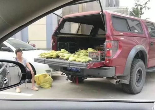 汽车二十公里要多少油钱