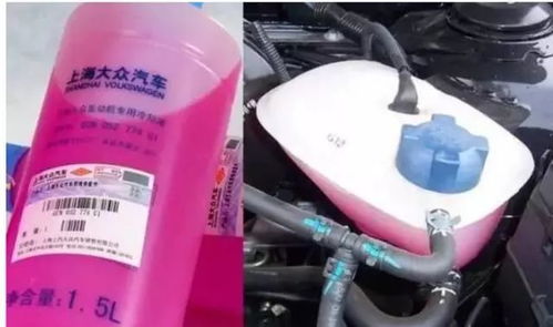 汽车防冻液加多少