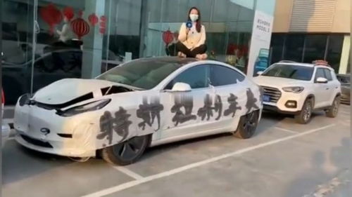 龙泉坐汽车到水头多少钱