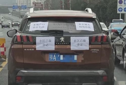 武汉汽车牌照多少钱