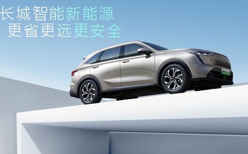 长城汽车大气温度多少
