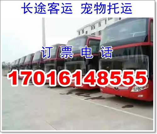 苏州到宁陵汽车要多少钱