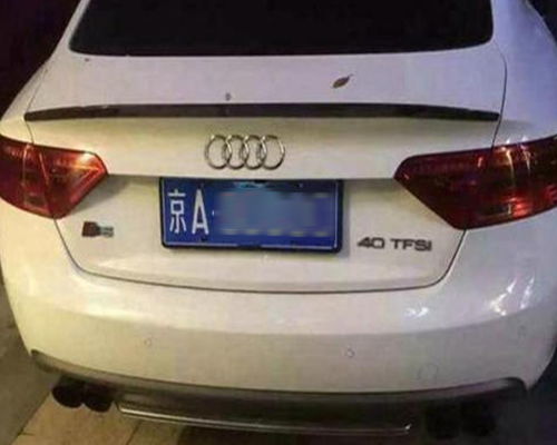 补办汽车车牌多少钱