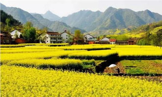 利川离宣恩汽车票价多少