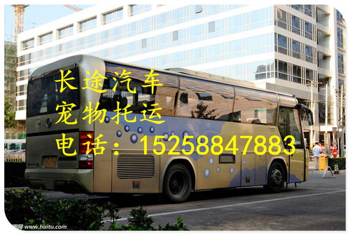 永康到玉环汽车多少钱